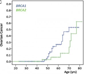 Ovarian cancer risk BRCA